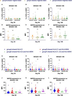 The Interaction of HLA-C1/KIR2DL2/L3 Promoted KIR2DL2/L3 Single-Positive/NKG2C-Positive Natural Killer Cell Reconstitution, Raising the Incidence of aGVHD after Hematopoietic Stem Cell Transplantation